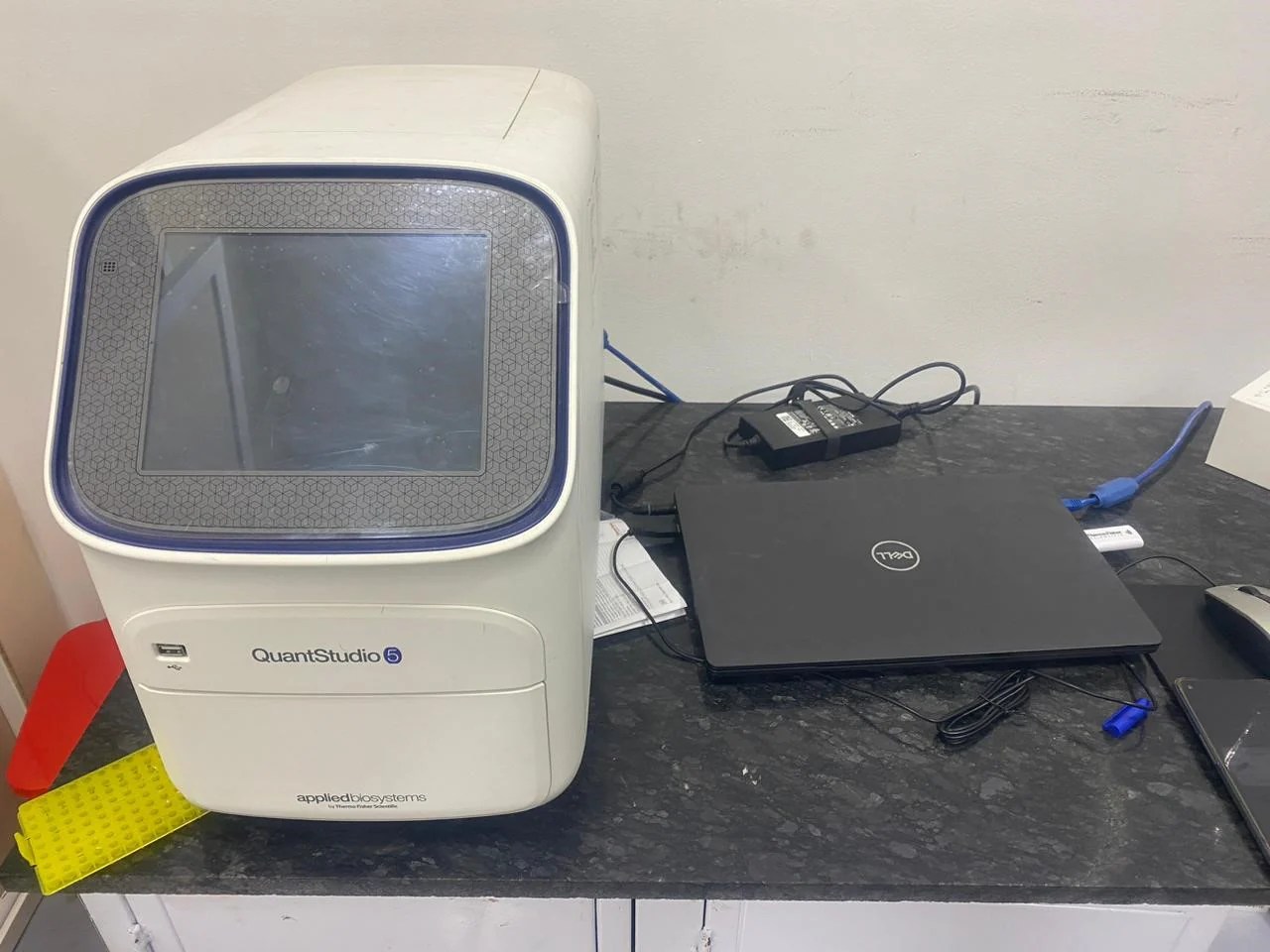 Real Time Pcr System
