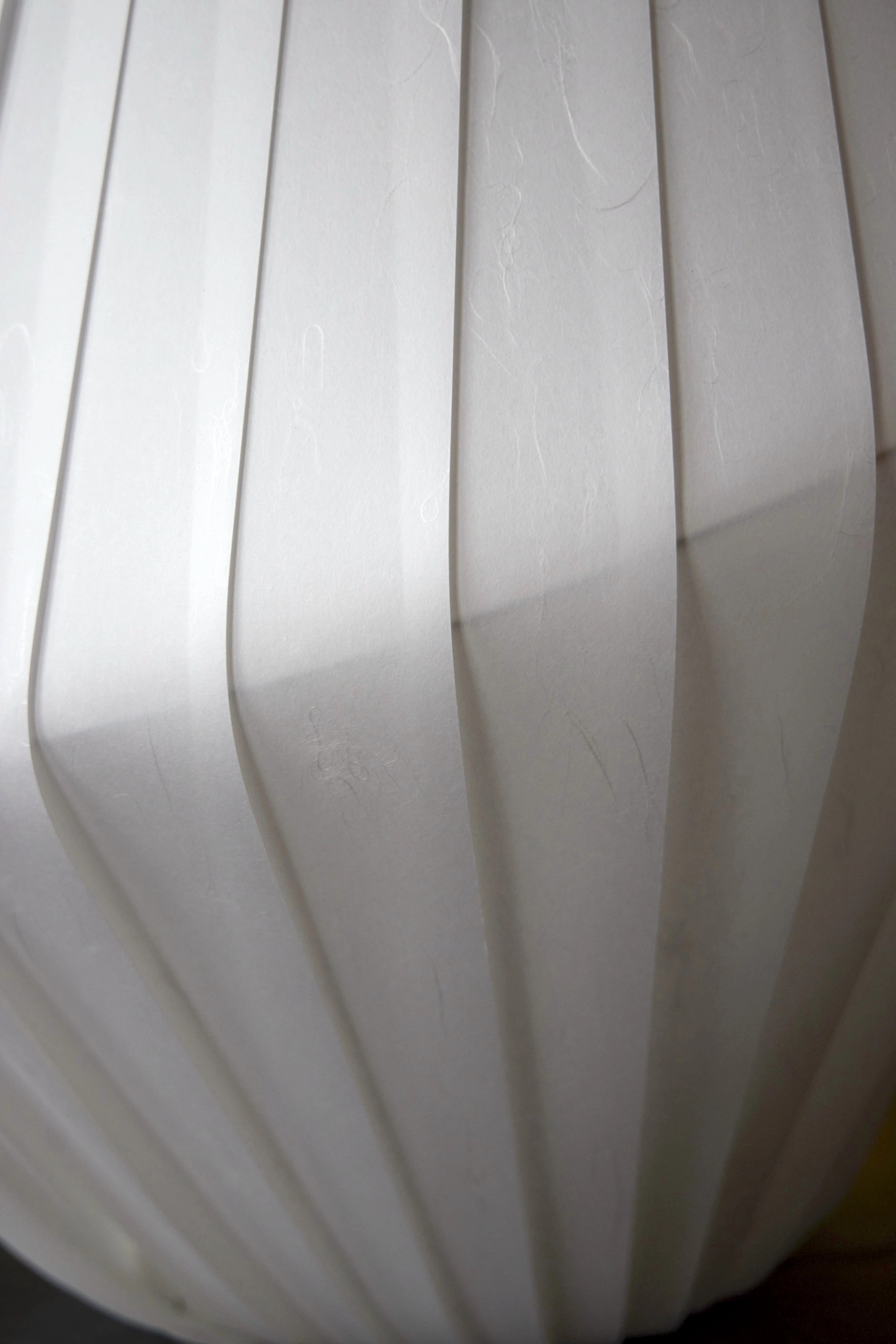TR31 Table Light