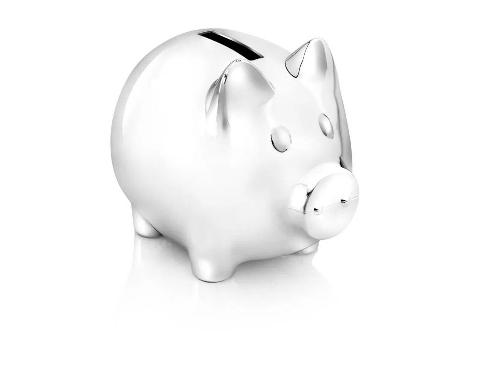 Money Box Pig