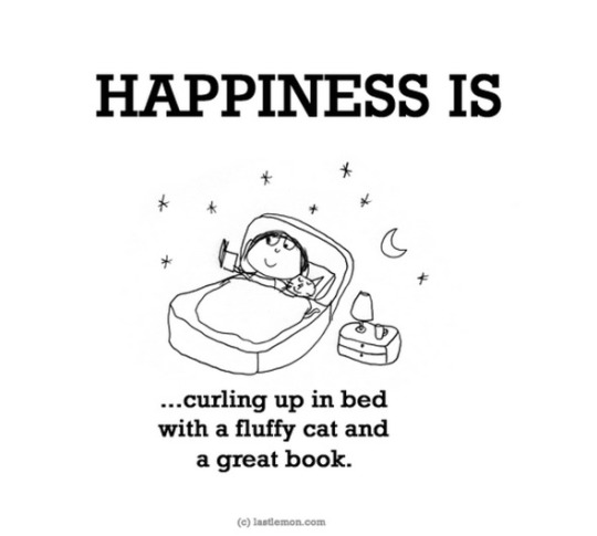 Happiness is... curling up in bed with a fluffy cat and a great book