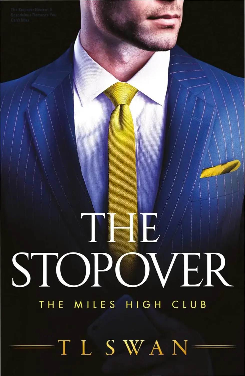 Cover image of The Stopover ebook featuring blue-eyed man on airplane