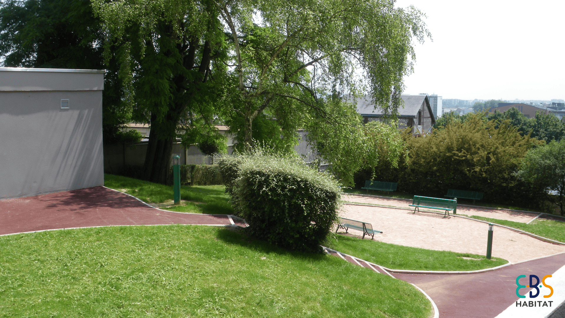 buisson