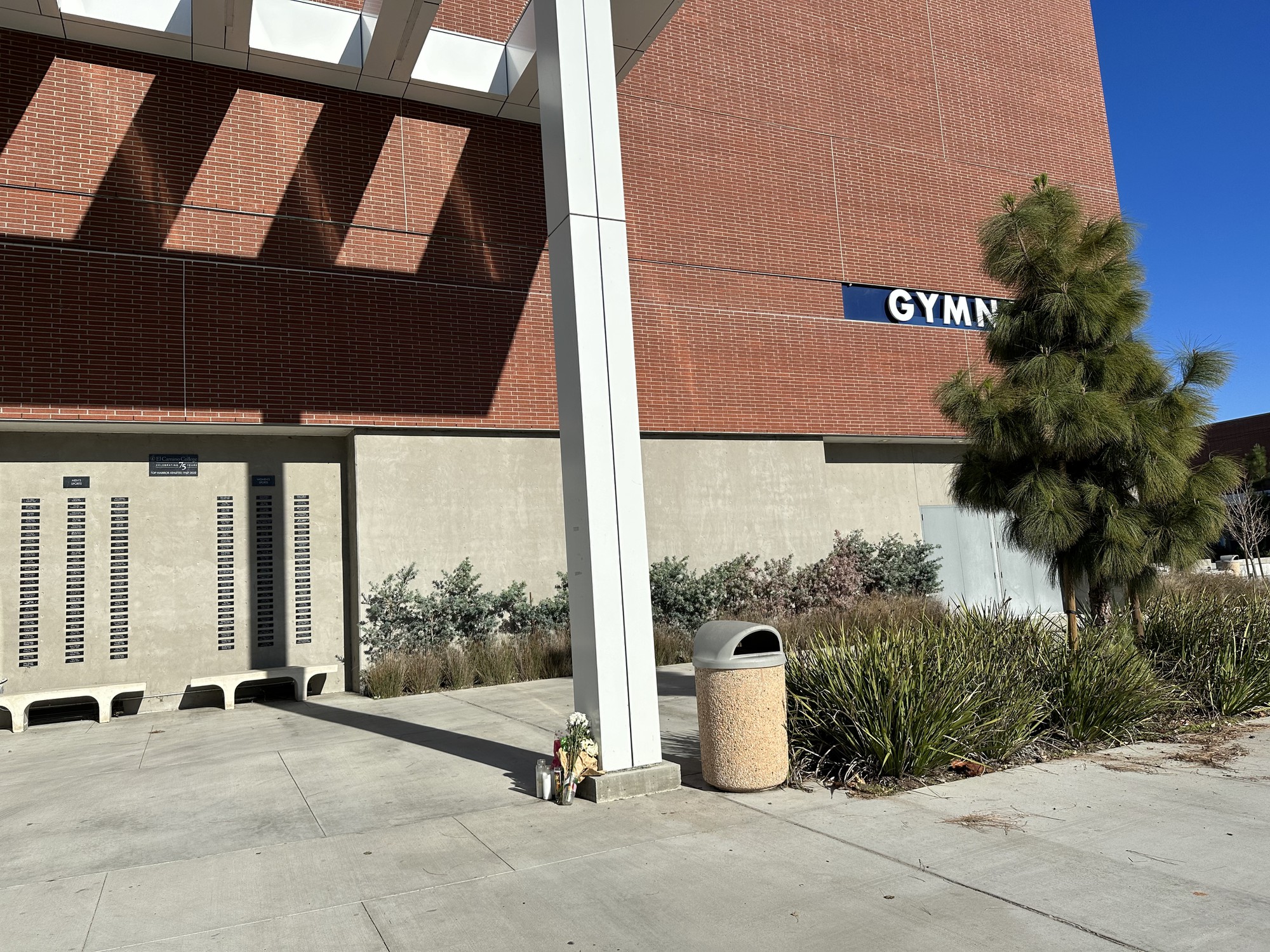 Death of woman sends shockwaves to el camino community; lack of