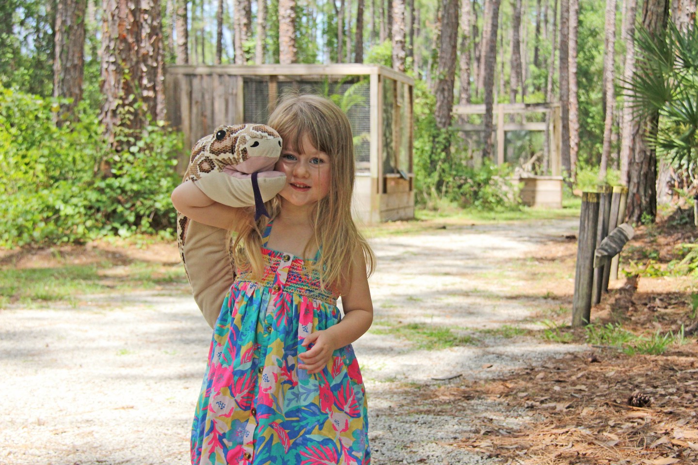 Slither into Summer The Reptile Discovery Center East