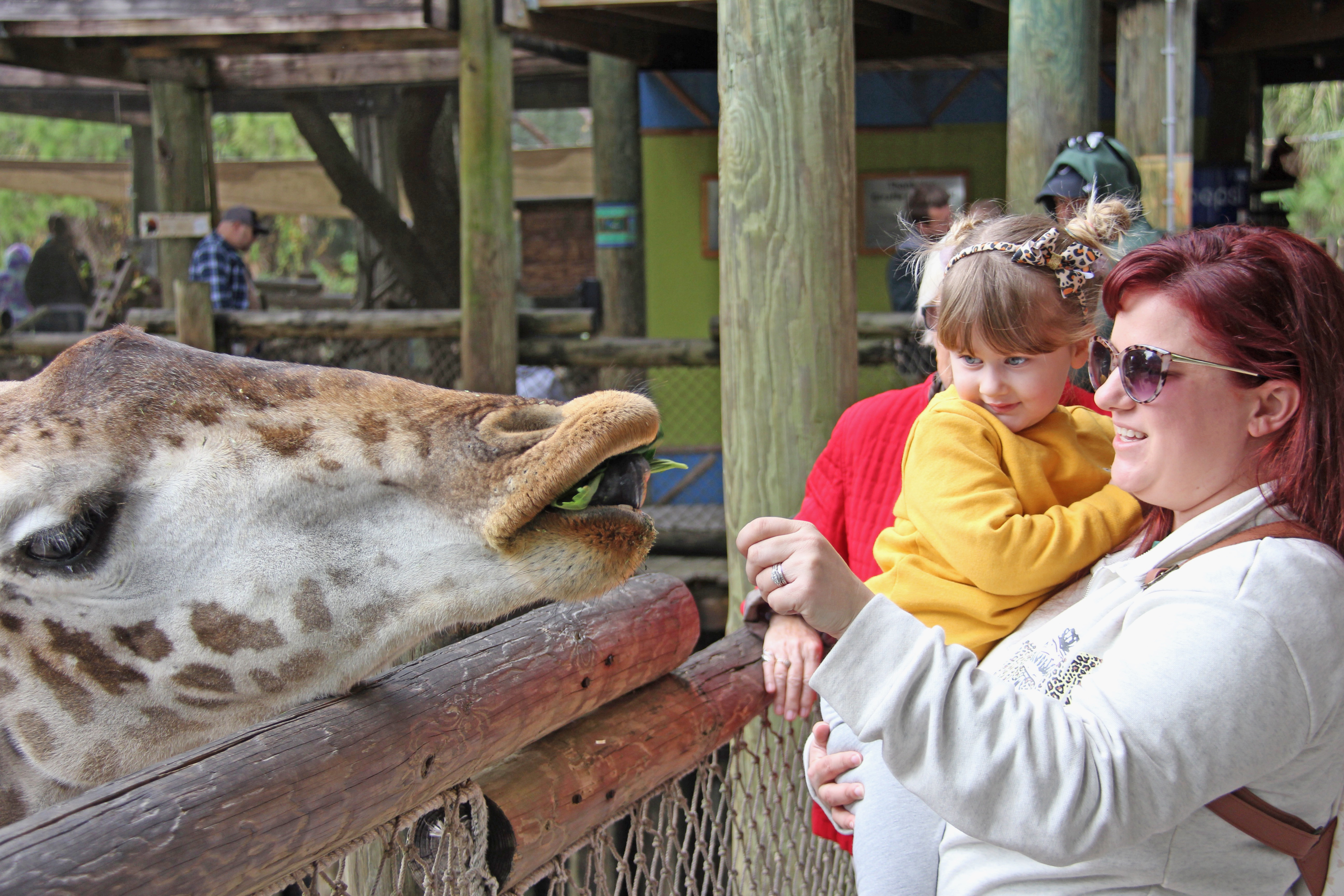 Where the Wild Things Are: Brevard Zoo – East Coast Current
