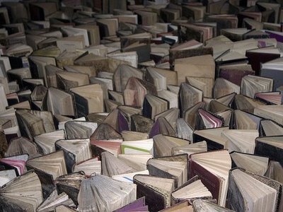 libros (1)