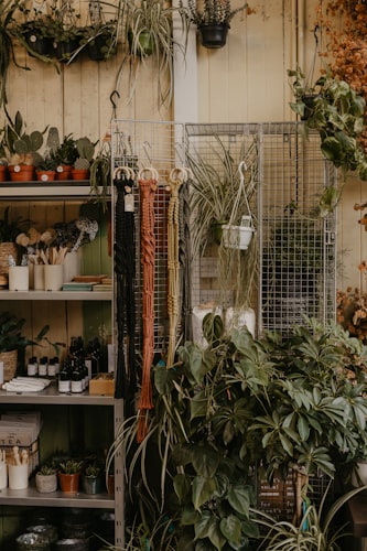 Eco-Friendly Plant Labels