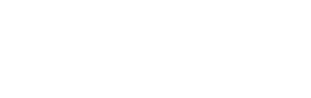 echo digital