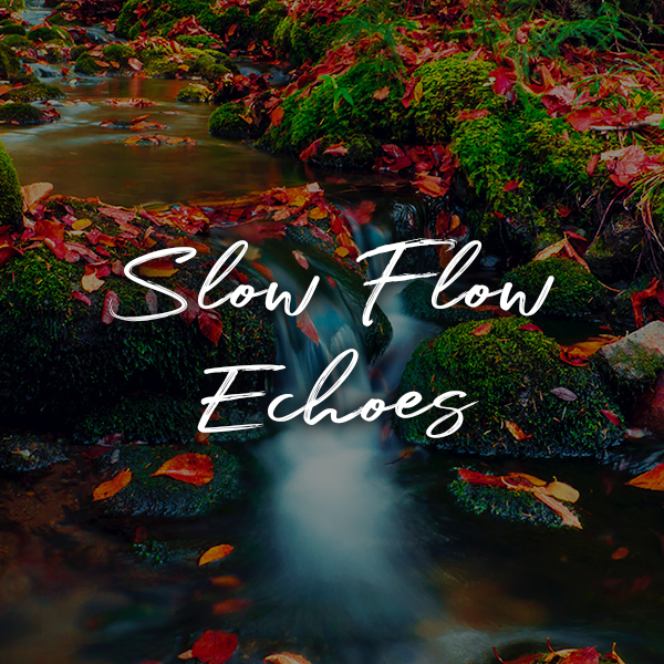 Slow Flow Echoes
