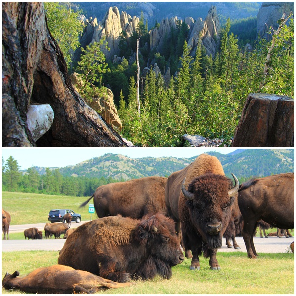 6 - Custer Sate Park