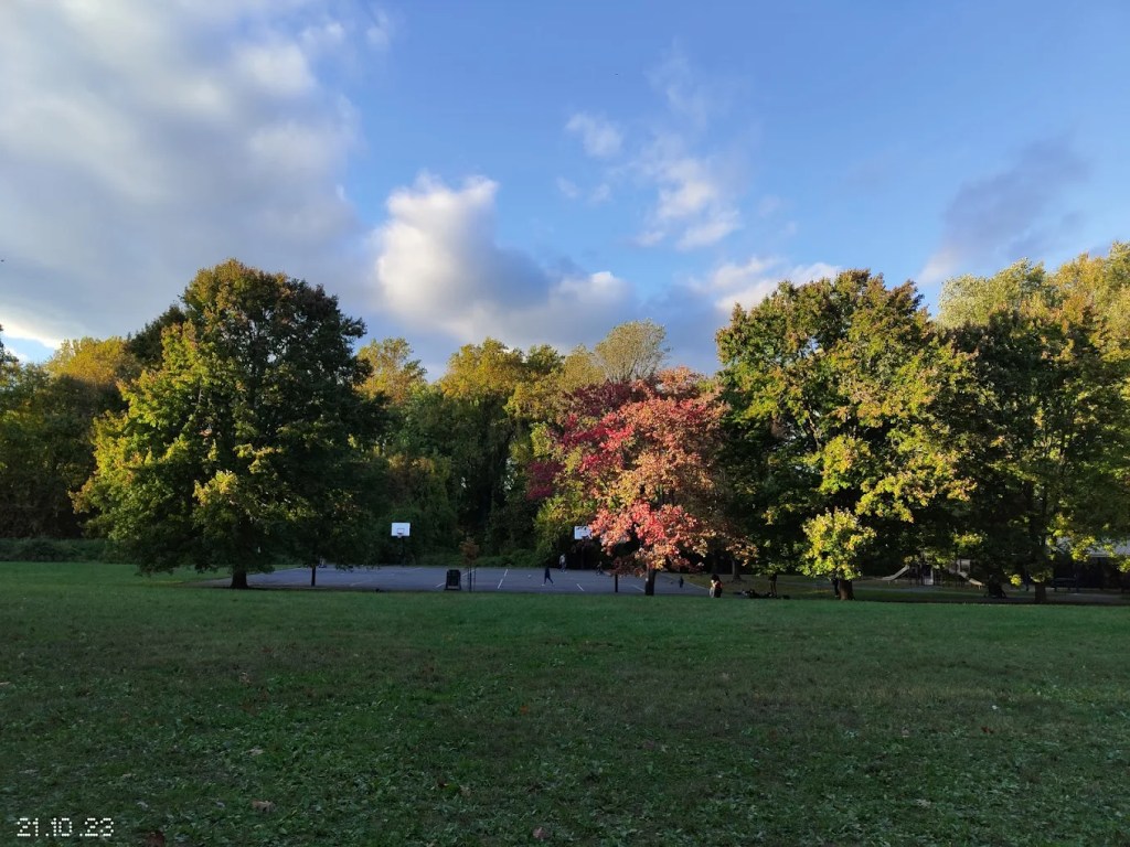 Tysons Pimmit Park located at 7584 Leesburg Pike. Falls Church, VA 22043