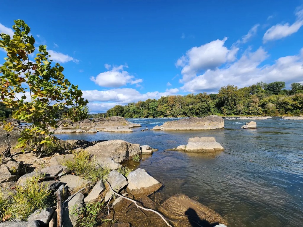 Top 10 Parks Near Tysons Corner VA #4 : Scott's Run Nature Preserve located at 7400 VA-193, McLean, VA 22102