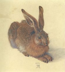 albrecht hare paintings watercolour vienna duerer 1502 durer 1498 willow 1506 mill favourite albertina wikiart bodycolour cm paper
