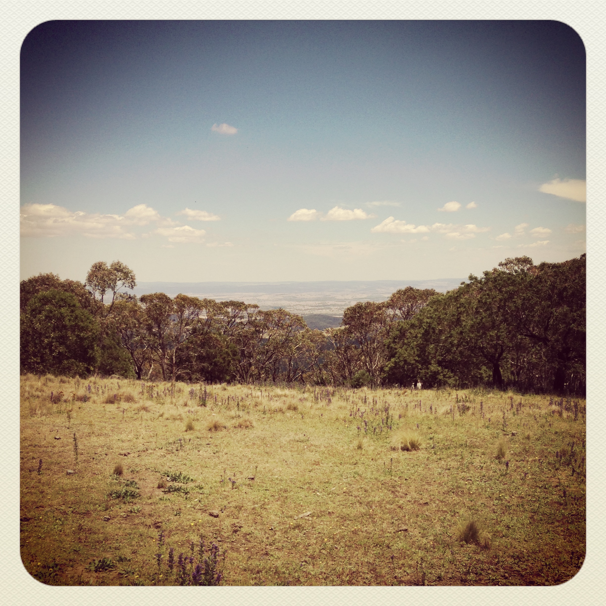 view over Orange from Mount Canobolas