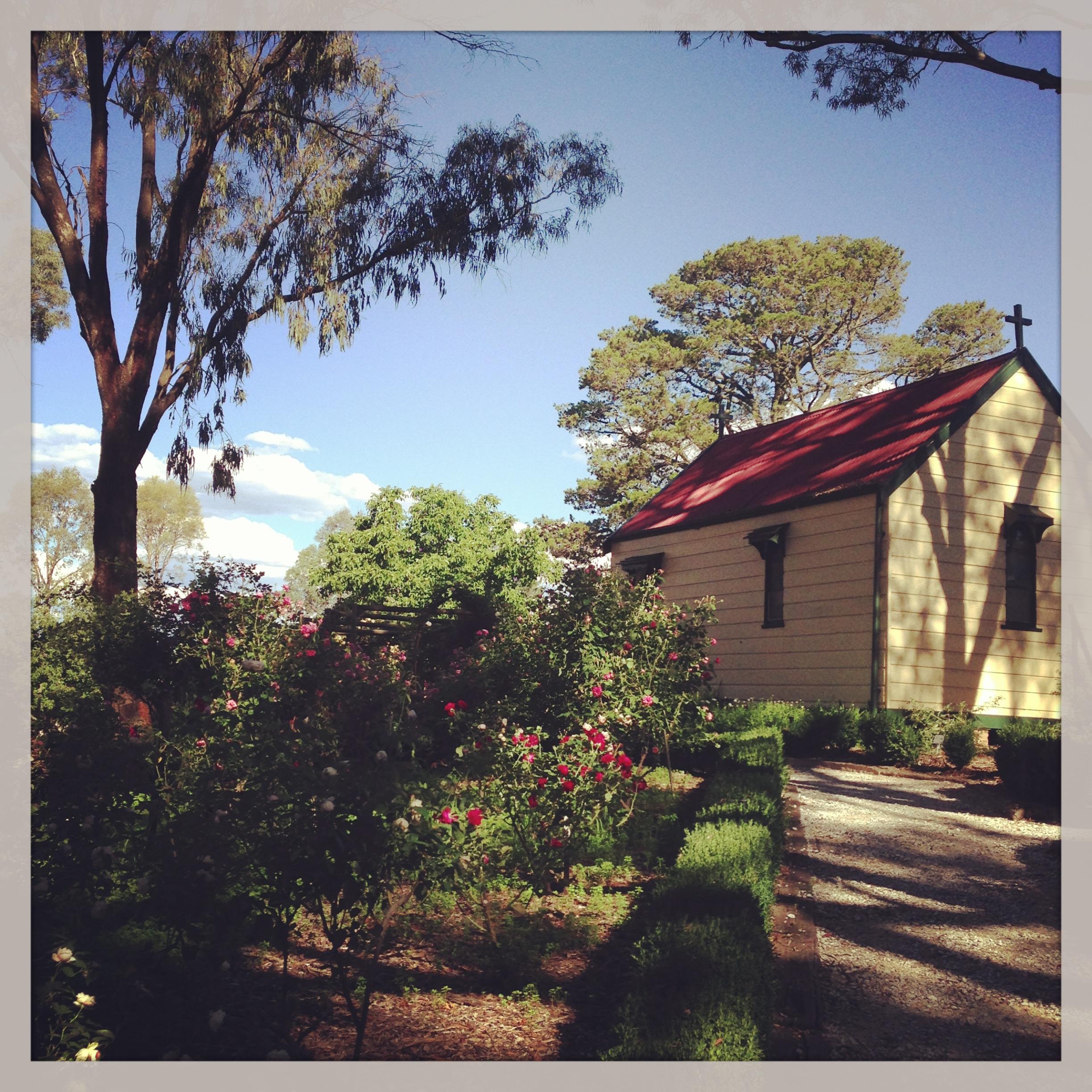 The Rose Garden & Historic Church at Orange Botanic Gardens - a personal favourite feature