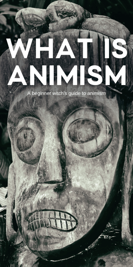 A beginner witch's guide to animism. A common practice involves trance, allowing spirits to overcome the practitioner. Similar practices abound in charismatic Christian communities, where the Spirit of God is believed to take over a person's body and allow them to speak in tongues and be healed. It's this same thing that witches and magicians can harness in their own lives, to help with difficult times and to get them through bad situations. #animism #trance #witch #witchcraft #pagan #religion