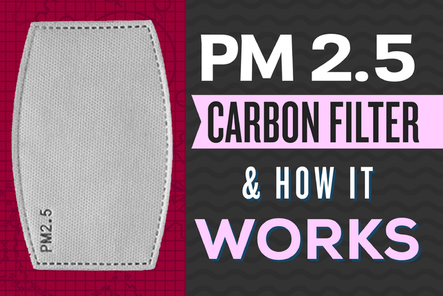 pm2.5 activated carbon filter