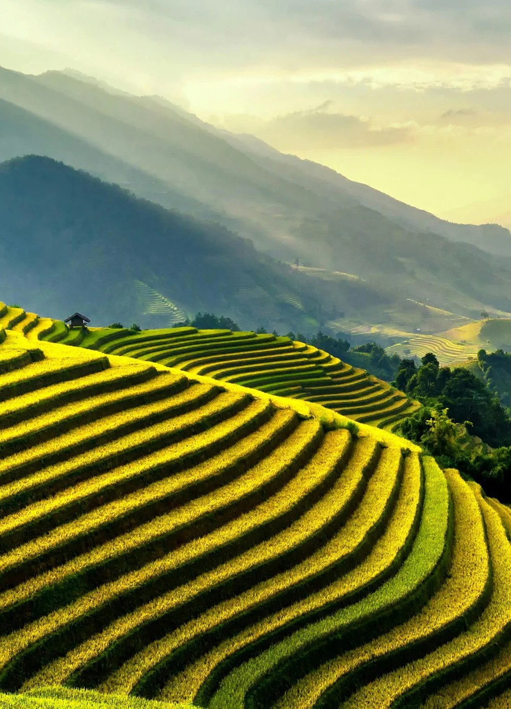 We grow fresh, organic produce using clean methods that protect nature, healthy food.