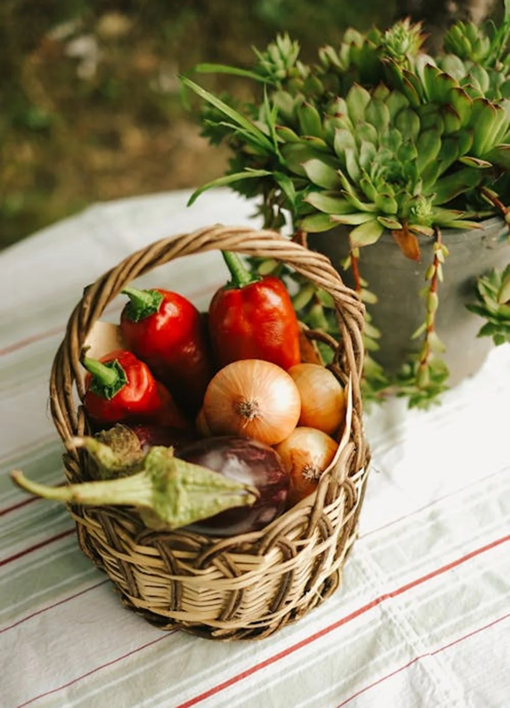 We grow fresh, organic produce using clean methods that protect nature, healthy food.
