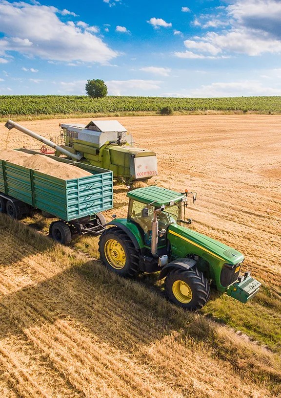 We grow fresh, organic produce using clean methods that protect nature, healthy food.