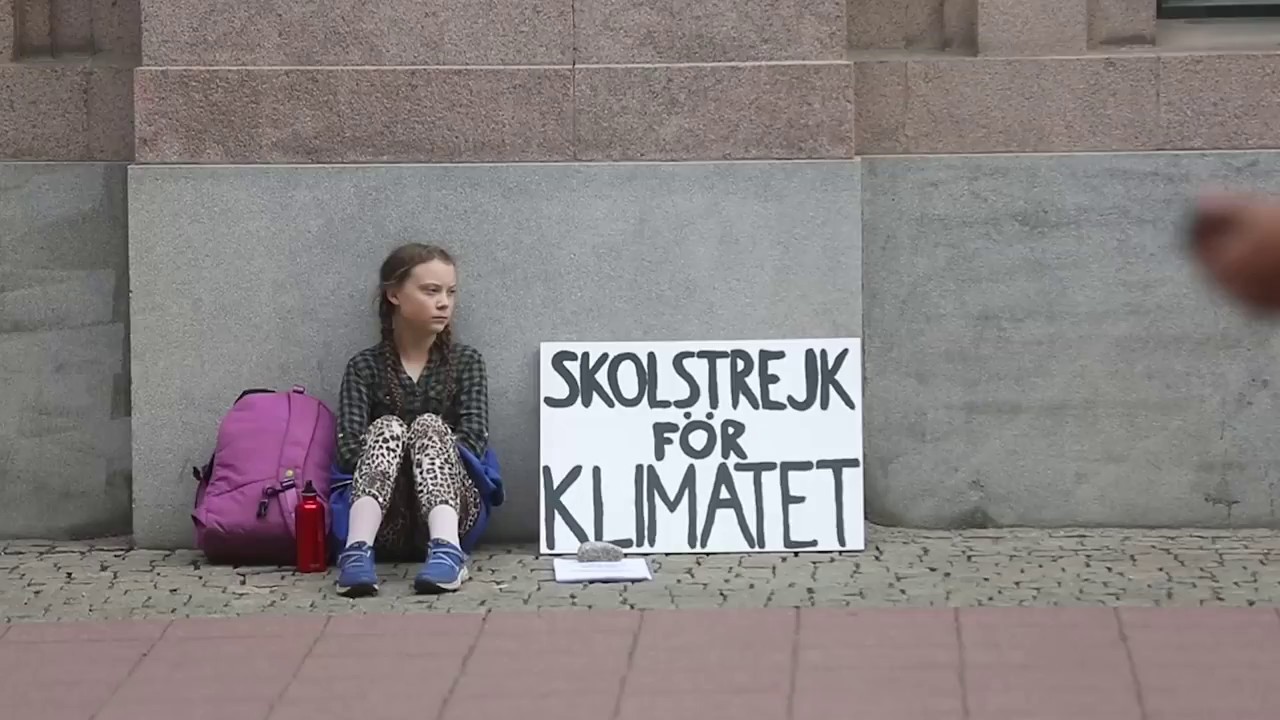 greta thunberg, the girl who striked alone in front of the swedish parliament, has become a leading environmental activist