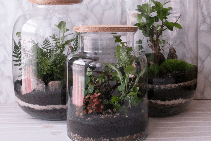 what is an ecosystem in a jar