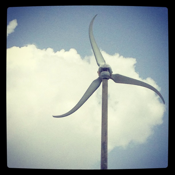 wind mill
