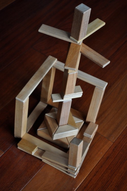 My Favorite Eco Wooden Blocks Tegu Summer Building Contest and Giveaway!!!