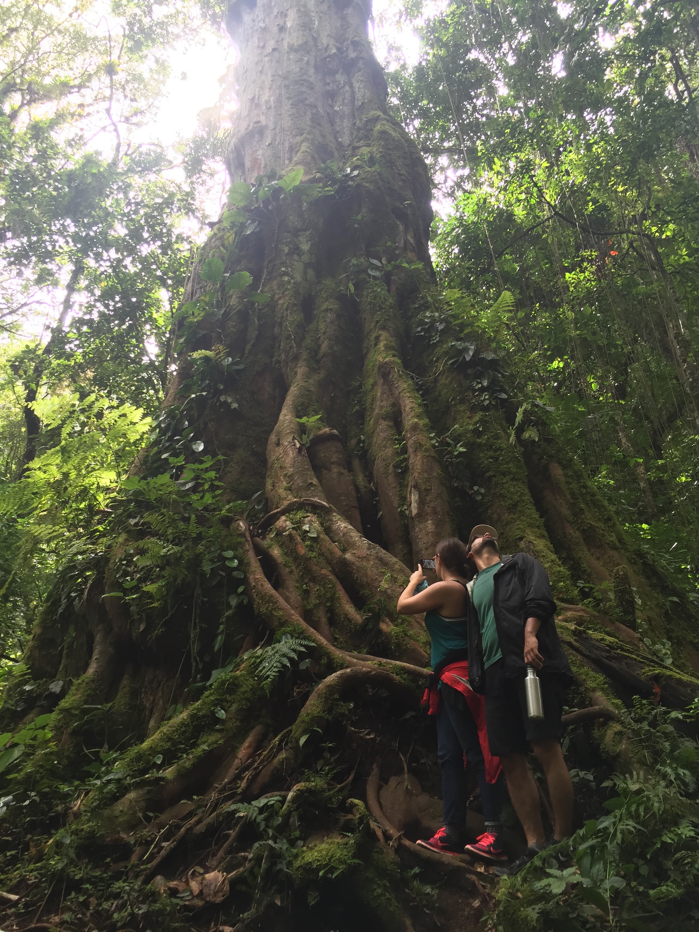 5 UNESCO World Heritage Sites that reveals Panama's cultural and