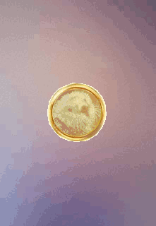 Ecocommunity Dao - Best Gradient Photos in HD