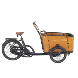 Elektriratas Embassy Fluo Lemon 3 450Wh, 100km Cruiser rattad Elektritõukerattad, elektrilised jalgrattad ja laste elektriautod