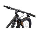 Maastikuratas GIANT Anthem Advanced Pro 29 0, Raw Carbon (M)