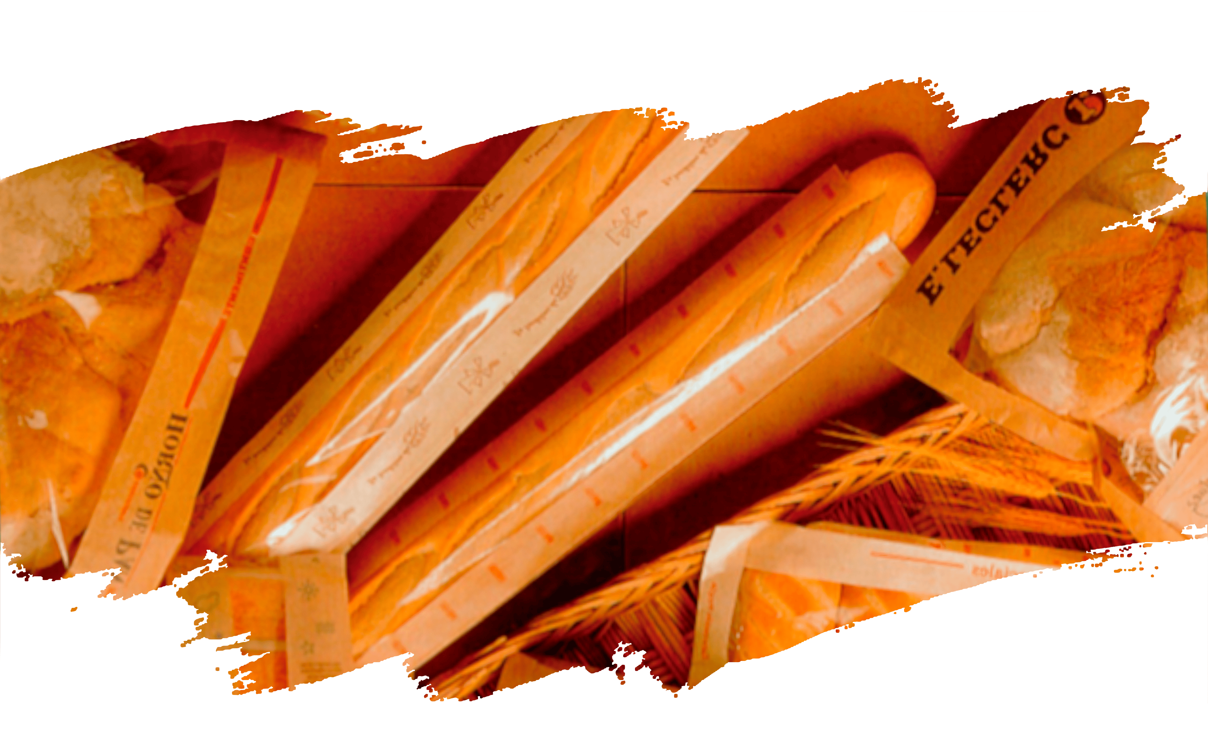 bolsas kraft