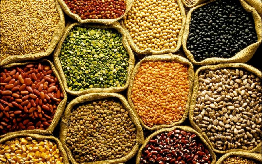 A produção atual de grãos é suficiente para alimentar todo o planeta - Portal Macaúba