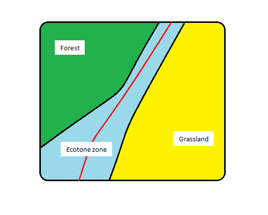 Allow large tracts of land to revert to the natural landscape restoring ecosystem functions and services; Ecotones And Edges Explaining Abrupt Changes In Ecosystems Eco Intelligent