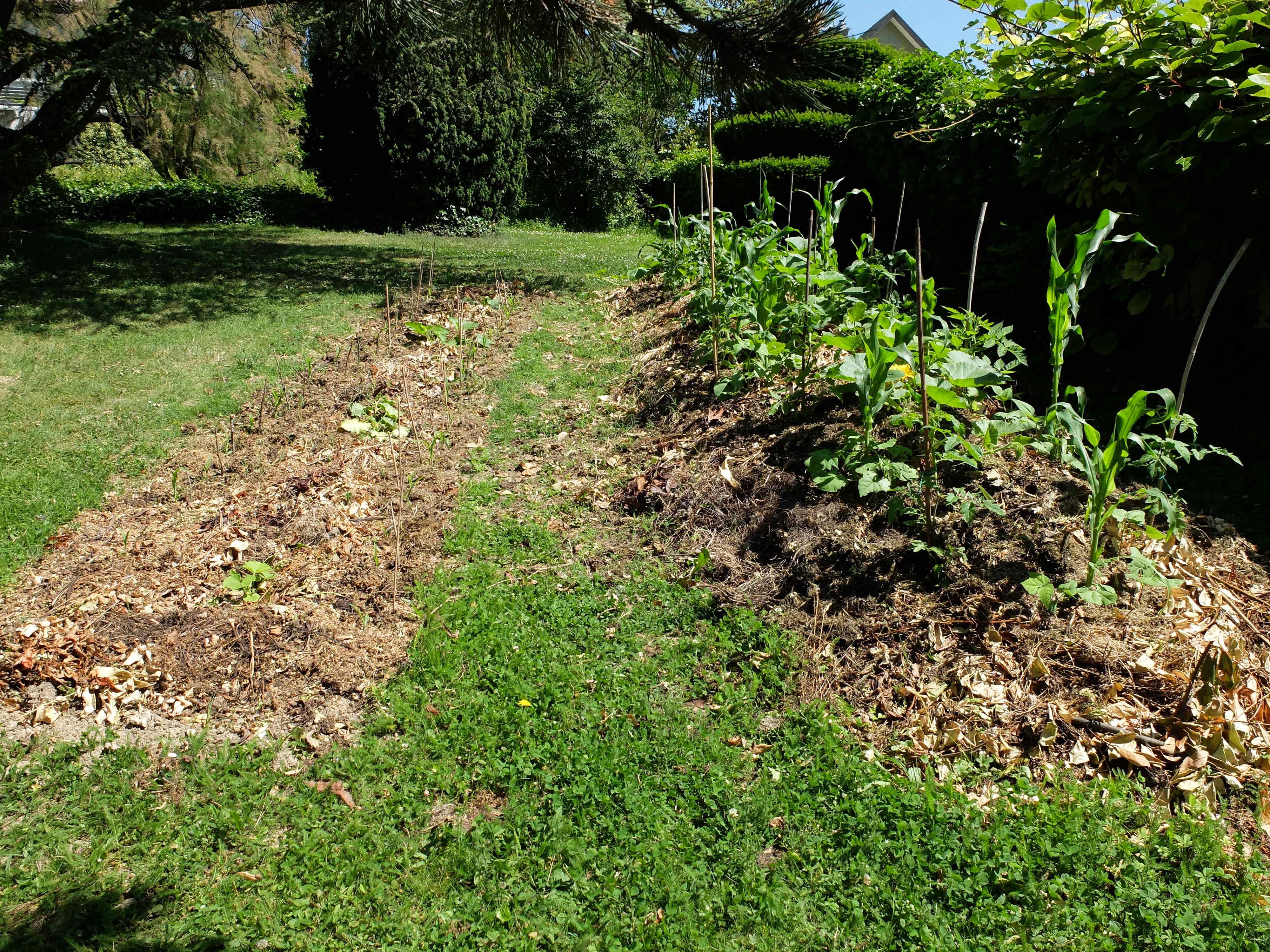 Le Jardin Du Bois Joli Foire Aux Plantes Au Lac D Aiguebelette