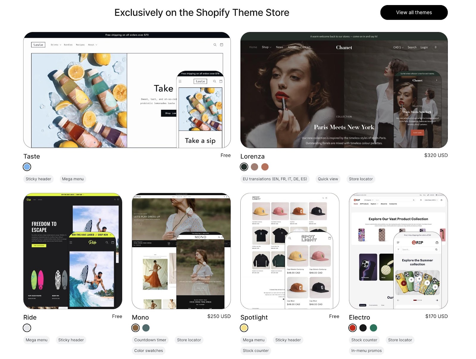 Shopify vs custom website: how should you build an online store