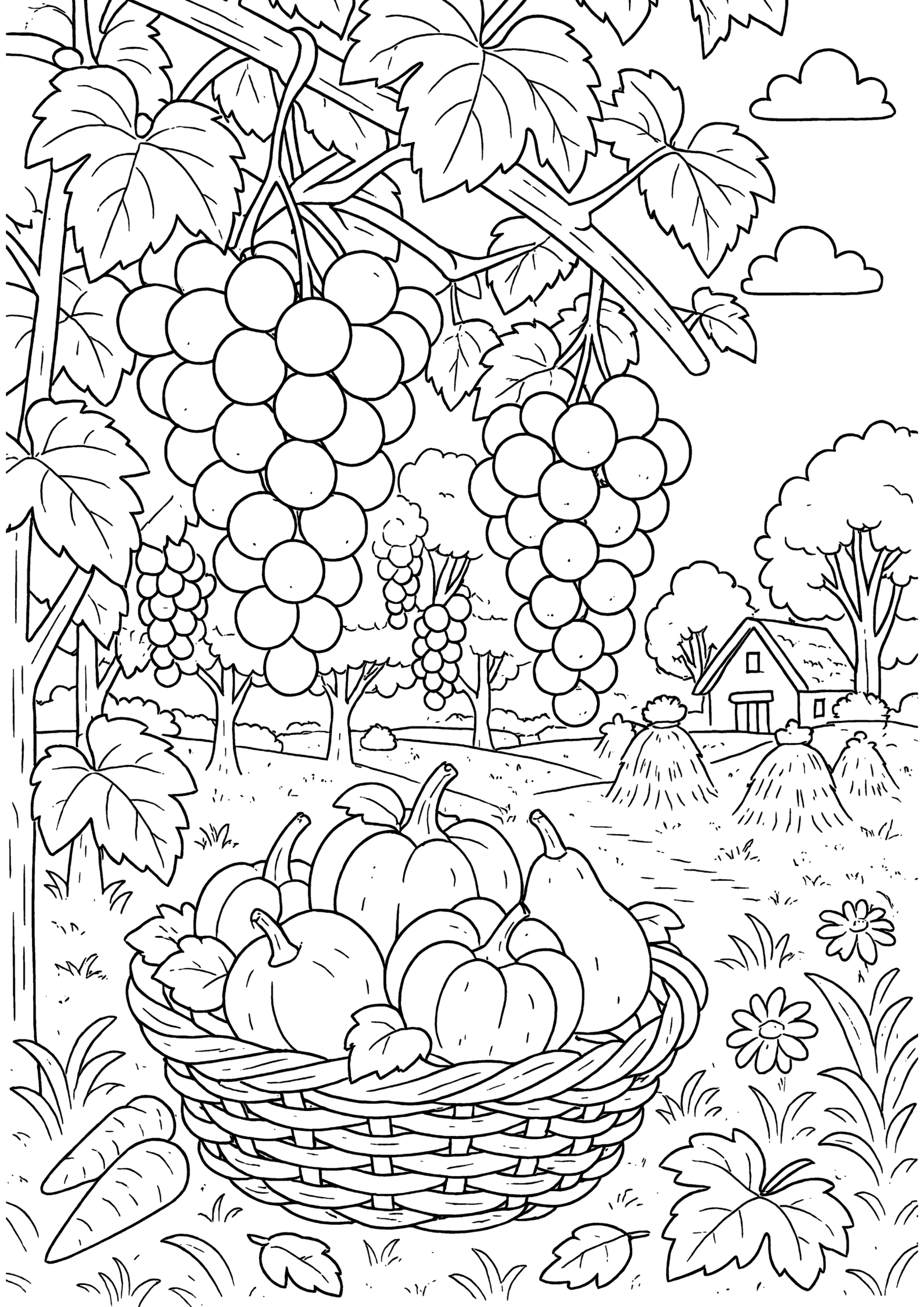 Autumn coloring page showing a harvest scene with grape clusters hanging from vines, a basket filled with pumpkins and pears, trees, farmhouse, haystacks, and flowers, presented as a black-and-white line art illustration