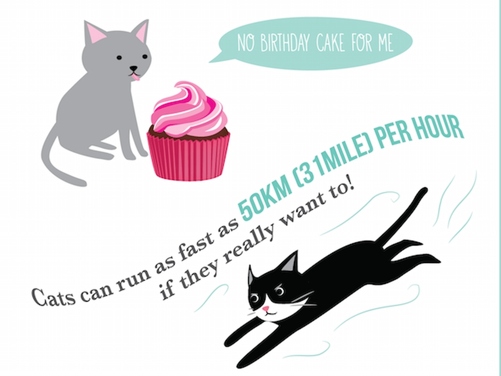 Cosas curiosas sobre los gatos que seguramente no sabías (INFOGRÁFICO)