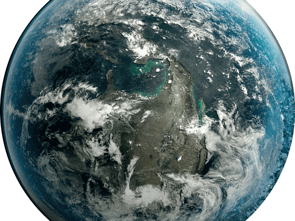“Extinction: The facts”: un documental fundamental para entender la destrucción de la naturaleza