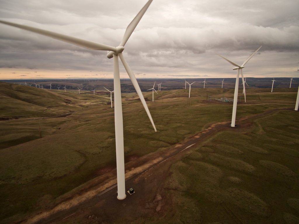 Abre tu conciencia a estas 11 acciones para revertir el cambio climático