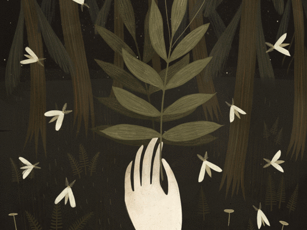 Ilustraciones Para Sumergirte En Los Pulsos Del Bosque Ilustraciones para sumergirte en los pulsos del bosque