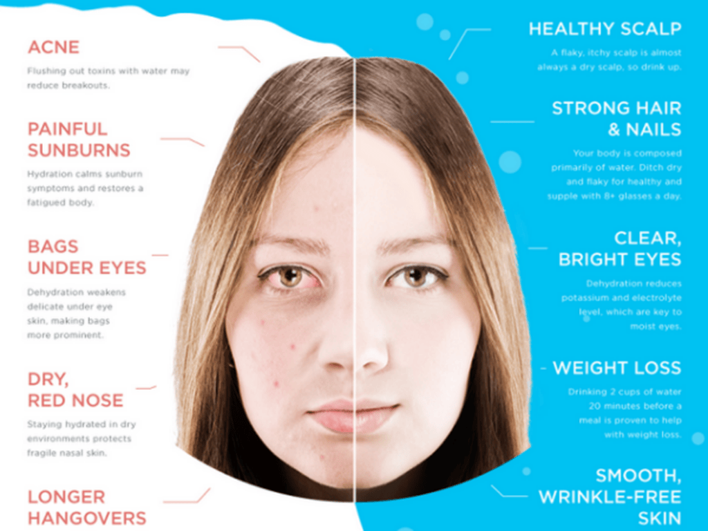 Así se ve tu cuerpo sin el agua suficiente (Infográfico)