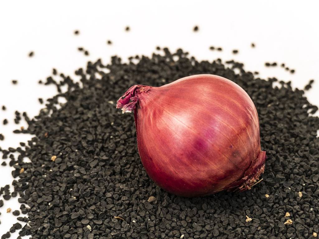 Cómo plantar cebollas en casa sin fallar en el intento