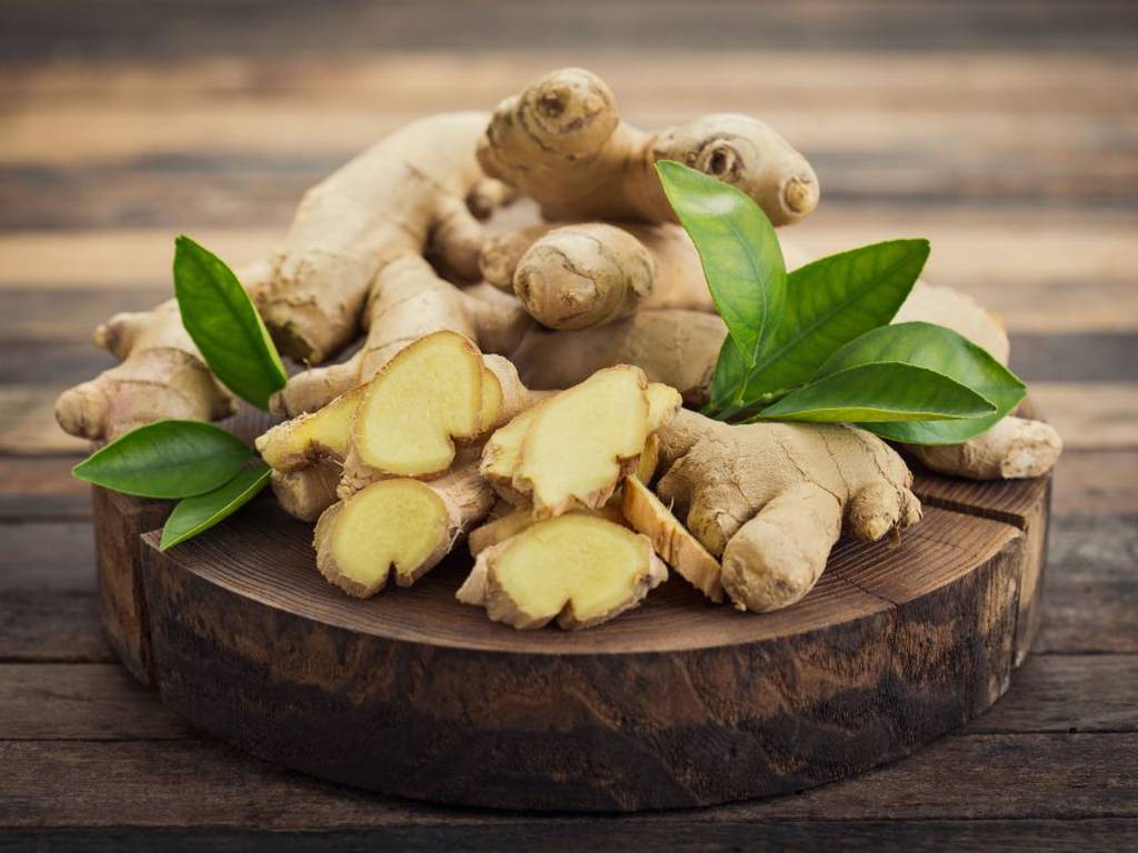 Plantas medicinales para fortalecer el sistema inmunológico