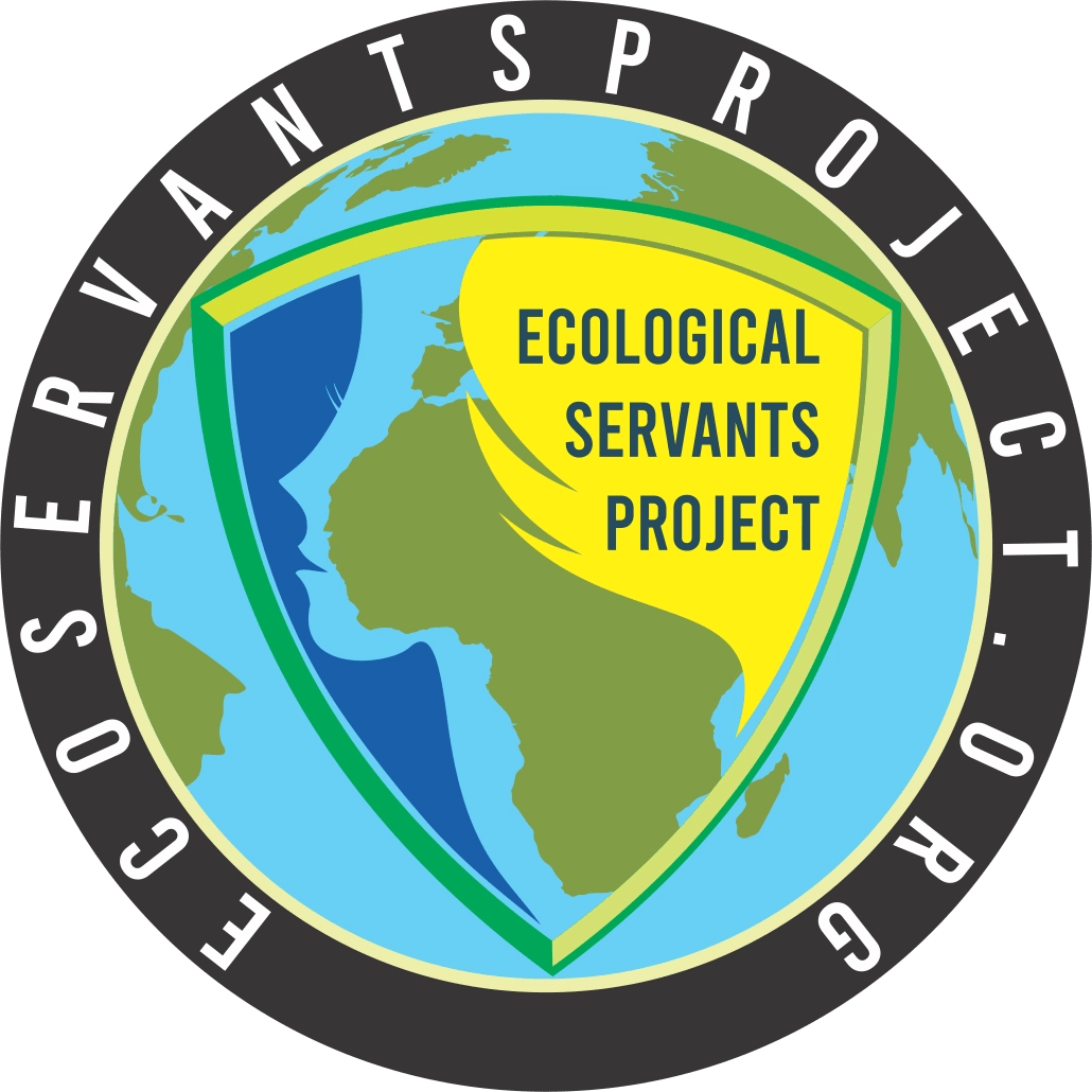 The role of decomposers: nature's recyclers