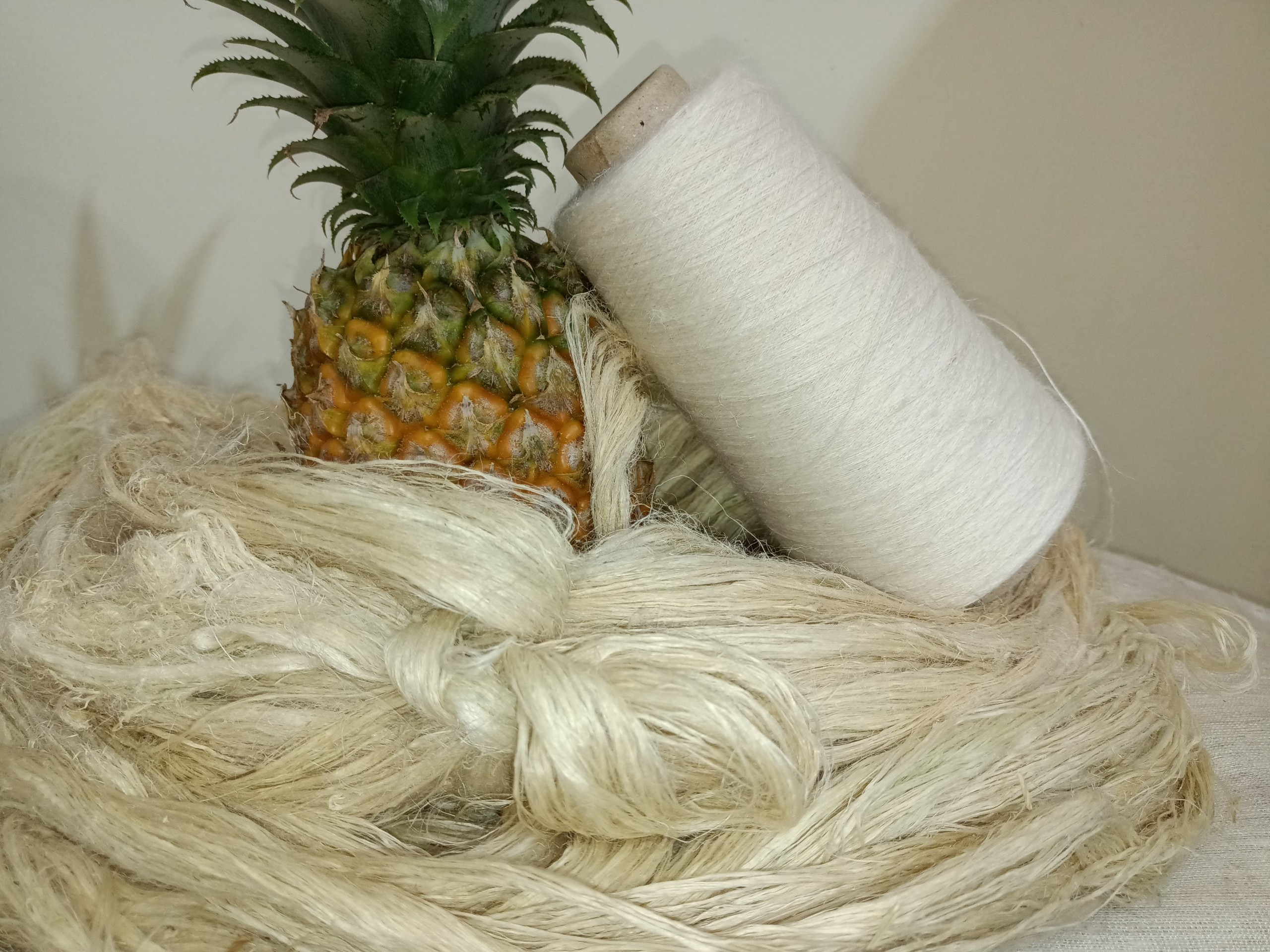 Pineapple Fiber Yarn At Jody Featherston Blog Pineapple Fiber Yarn At Jody Featherston Blog