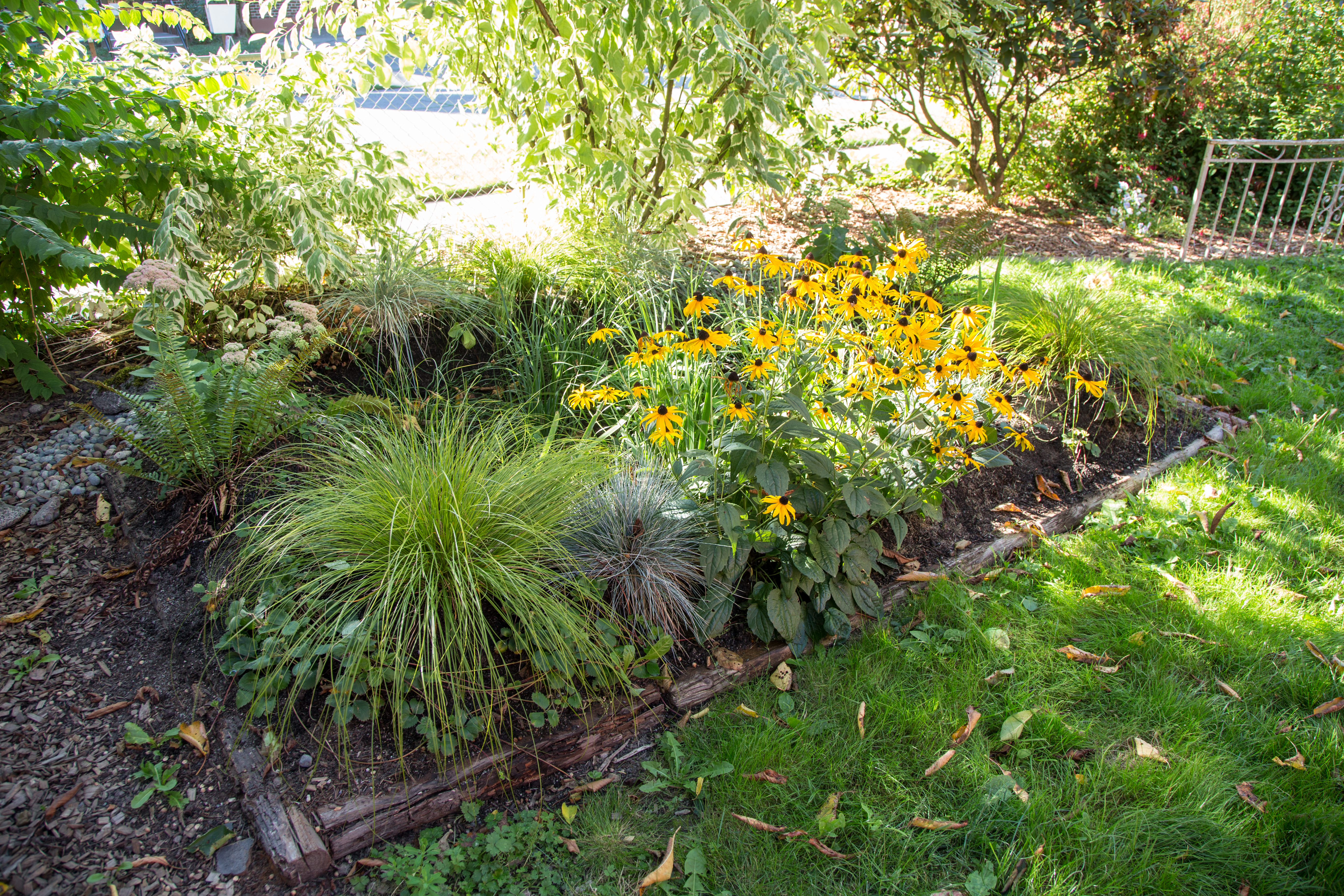 South Park Rain Garden