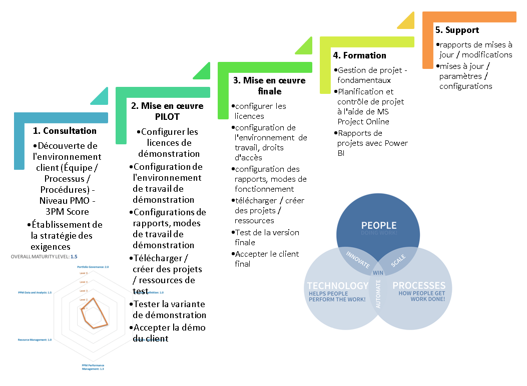 implementation PMO digital