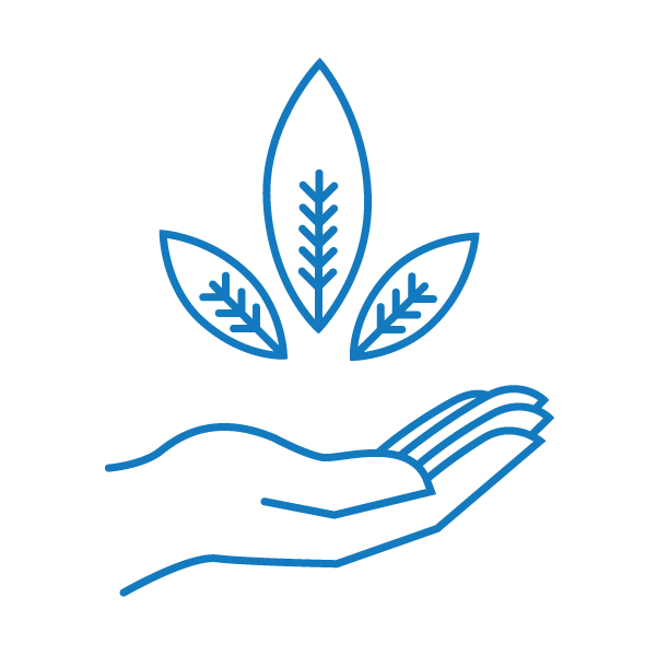 Indigenous Forestry Mentorship Program Ecotrust - Geometric Picture Collection - Full HD Quality